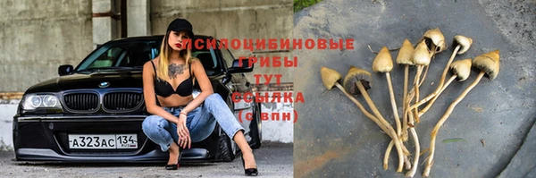 кокаин премиум Горнозаводск