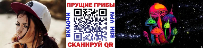 Псилоцибиновые грибы Psilocybine cubensis  Купить закладки  Вуктыл 